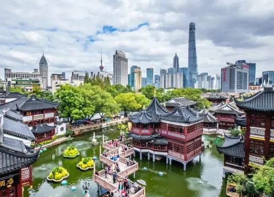 奉贤九棵树未来艺术中心森林剧场看剧体验，我劝你别光顾着拍照