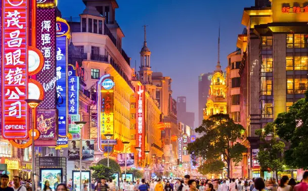 上海深夜网球：灯光场地与陪练预约，凌晨两点还在挥拍的人到底图啥？